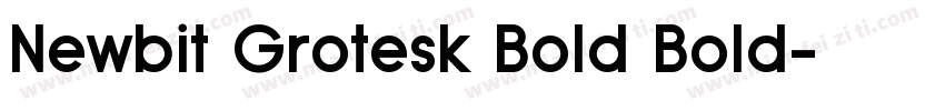 Newbit Grotesk Bold Bold字体转换
